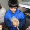 Tiago et le chinchilla