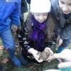 ramassage par les scolaires