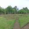 potager