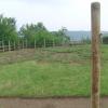 potager