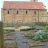 jardin fin juillet 2011