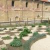 jardin médiéval début août 2011
