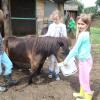 sortie à la ferme