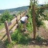 jardinnage