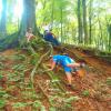 sortie en forêt