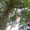 les petits singes